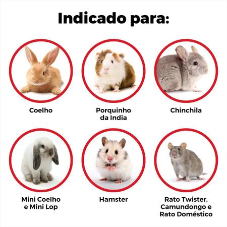 Imagem de Gaiola Para Coelho Porquinho Da India Hamster Chinchila Grande Completa Com Andar