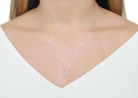 Gargantilha Colar Patinha Pet Cachorro Prata Pura 925 - MGA-BR Imagem de Gargantilha Colar Patinha Pet Cachorro Prata Pura 925