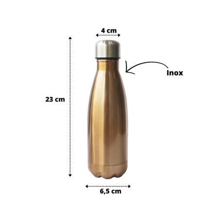 Imagem de Garrafa isotérmica de inox swell style 500 ml