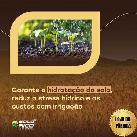 Imagem de Gel Agrícola Cereais 5Kg Condiciona O Solo Nativas Eucalipto