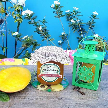 Geleia de Damasco 100% Fruta 170g - Homemade - Mercearia da natureza -  Compre pelo site I Frete Grátis I consulte sua região!
