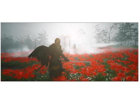 Ghost Of Tsushima Ps4 Mídia Física Lacrado Em Português Br - Sony Sucker  Punch - Jogos de Ação - Magazine Luiza