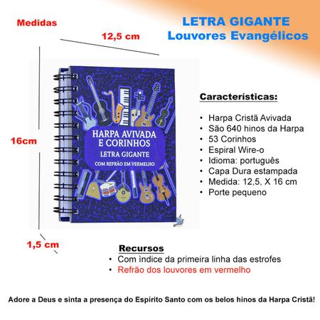 Harpa Cristã Espiral Letra Gigante - Modelo 3 - Floral Rosa - Outros Livros  - Magazine Luiza
