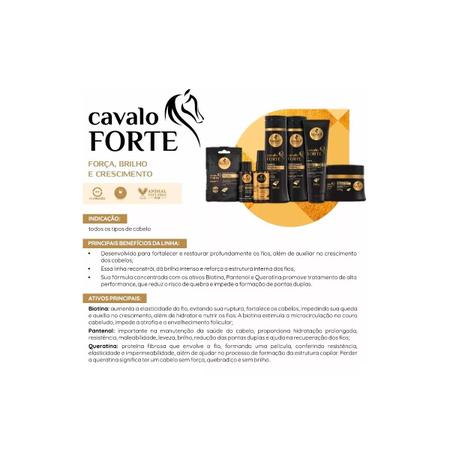 Imagem de Haskell Cavalo Forte Força Brilho Kit Completo 1L/900g 6 Itens