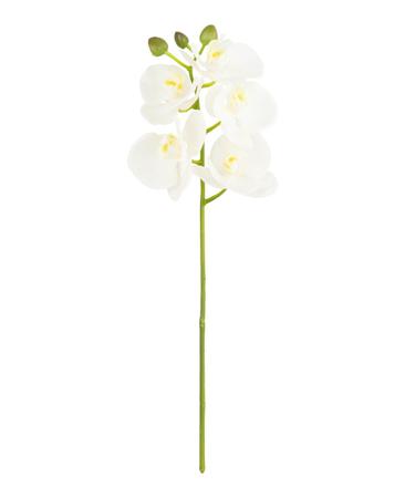 Imagem de Haste Mini Orquídea Phalaenopsis Silicone 38cm