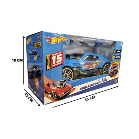 Carrinho Radical Hot Wheels Porta 2 em 1 Fun F0102-7