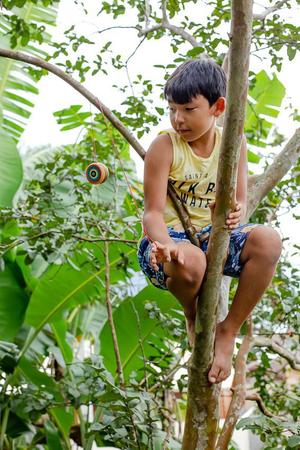 Ioiô de madeira — Banca Kids