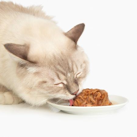 Imagem de Jantar de frango Catit com comida úmida para gatos com atum e couve 85g