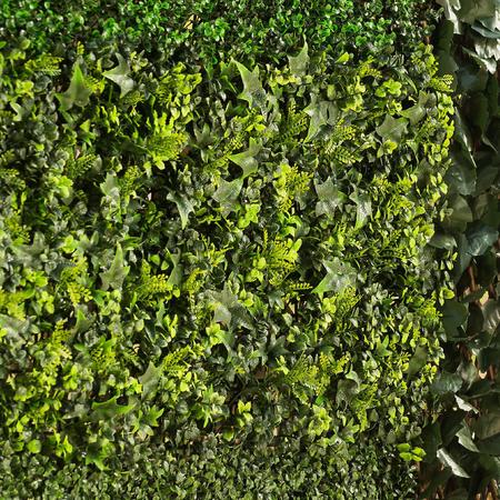 Imagem de Jardim Vertical Artificial Bosque 50x50cm