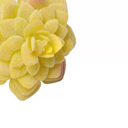 Imagem de Jogo de 4 aneis Suculenta para guardanapo em plastico D7xA8cm cor amarela