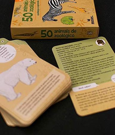 Jogo de Cartas - 50 Dinossauros - Galápagos - superlegalbrinquedos