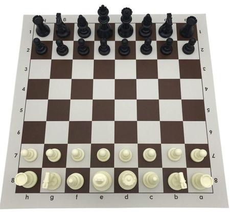 Página de destino do banner da web do clube de xadrez online