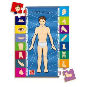 Jogo Educativo: Explore Anatomia com Diversão Interativa - spezialle -  Jogos Educativos - Magazine Luiza