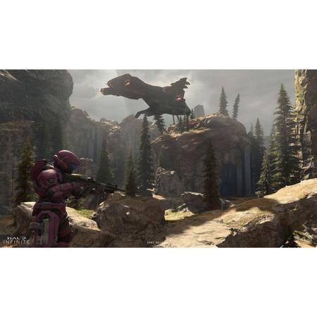 Jogo Xbox Series X Xbox One Halo Infinite - Edição Exclusiva MICROSOFT -  Jogos de Ação - Magazine Luiza