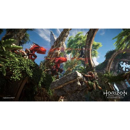 Jogo PS4 Horizon Forbidden West SONY PLAYSTATION - Jogos de Ação - Magazine  Luiza