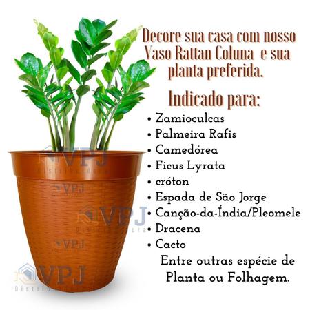 Um desenho preto e branco de um cacto com um vaso de plantas nele.