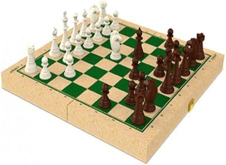 Mini Jogo De Xadrez Escolar Dobrável Para 2 Pessoas 20X20Cm em Promoção na  Americanas