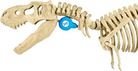 Jurassic World Playleontology Kit STEM Dinossauro T Rex Ossos