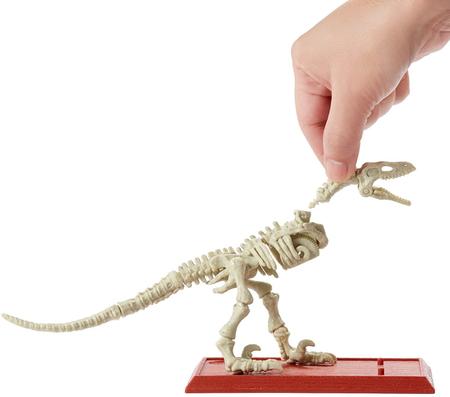 Stem hotsell jurassic world