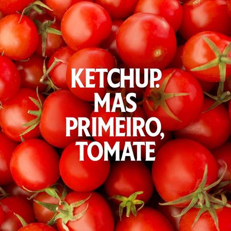 Imagem de Ketchup Heinz Tradicional 397g