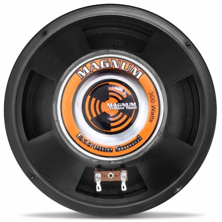 Par Alto Falante Magnum 6 Polegadas fusion 200w Rms Cada Woofer Mèdio Grave  Paredão, Magalu Empresas