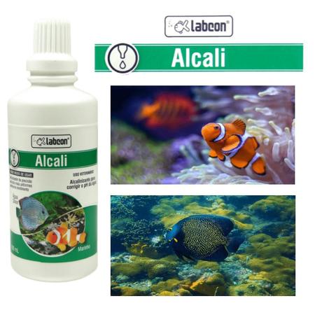 Imagem de Kit 1 Alcon Labcon Alcalizante Alcali 100Ml + 1 Alcon Labcon