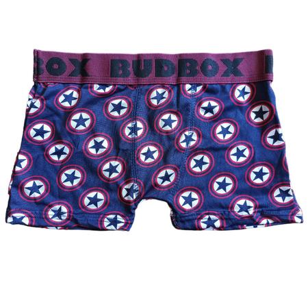 Imagem de Kit 10 Cueca Infantil Boxer Cuecas Elástico Bordado Personagens