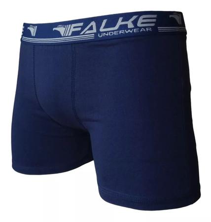 Imagem de Kit 10 Cuecas Boxer Falke Microfibra Masculina Cores Variadas 90% Poliéster 10% elastano