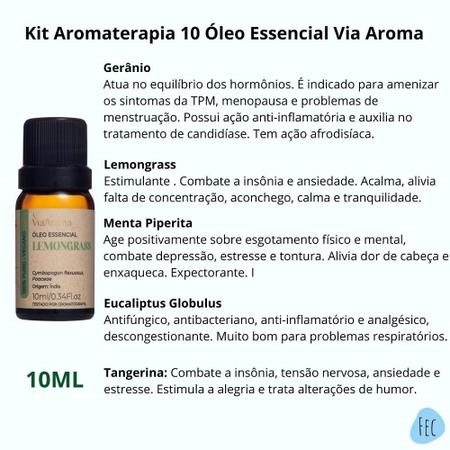 Imagem de Kit 10 Melhores Óleos Essenciais Via Aroma 10ml - Aromaterapia