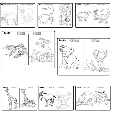 Desenhos para pintar e imprimir infantil:+100 imagens e