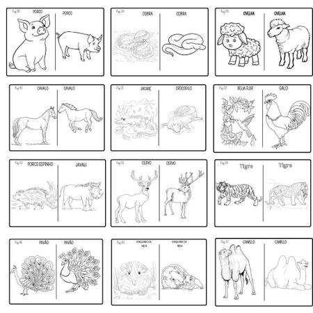 Desenhos para colorir de Animais - Imprimir e colorir