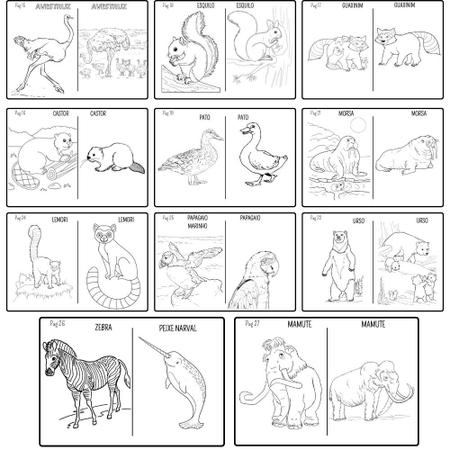 Desenhos de animais