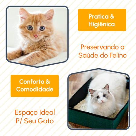 Imagem de Kit 2 Caixa de Areia Para Gato Grande c/ Borda Alta Menos Sujeira Mais Praticidade 53x35x15 cm Bandeja Sanitária SandBox