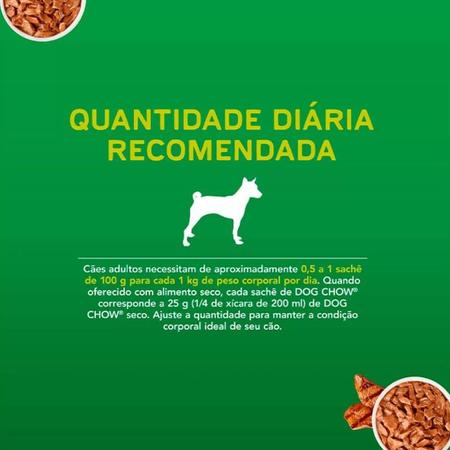 Imagem de Kit 2 Dog Chow Sachê P/ Cães Adultos Raças Peq. Sabor Carne 100 g