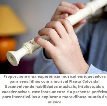 Imagem de Kit 2 Flautas Doce Instrumento Brinquedo Infantil Criança