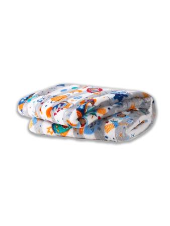 Imagem de Kit 2 Manta Cobertor Bebê Infantil Estampada Sortidas 80cm x 100cm Confortável Acabamento Em Bainha