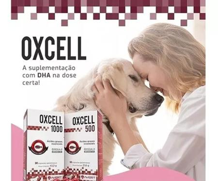 Oxcell 500 - Avert - Vitaminas e Suplementos para Pet - Magazine Luiza