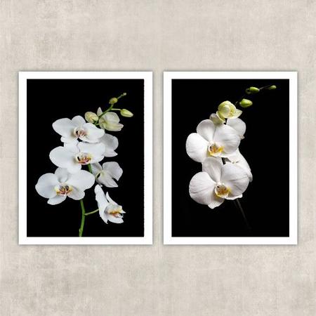 Imagem de Kit 2 Quadros Fotografia Orquídeas Brancas 33x24cm - com vidro