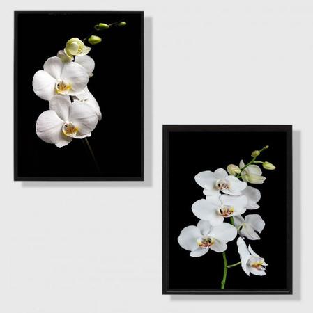 Imagem de Kit 2 Quadros Fotografia Orquídeas Brancas 33x24cm - com vidro