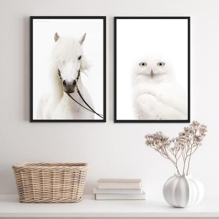 Imagem de Kit 2 Quadros Fotografias Animais Brancos 33X24Cm - Vidro