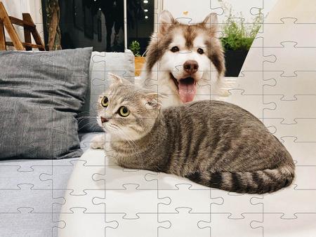 Imagem de Kit 2 Quebra-cabeças Atividades para Mente Cães e Gatos 60 peças