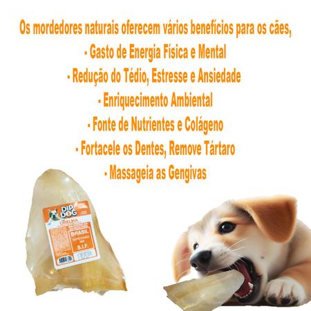 Imagem de Kit 20 Mordedores Orelha Bovina Petisco P/ Cachorro Natural 