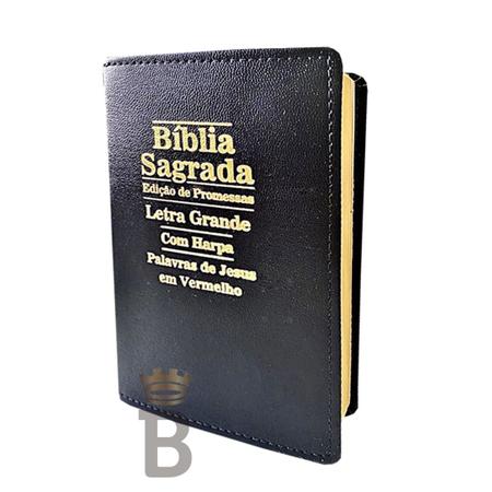 Imagem de Kit 3 Bíblias Sagrada Letra Grande - Luxo Variadas - c/ Harpa - 12x16cm
