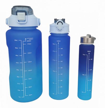 Imagem de Kit 3 garrafas - Capacidade: 2 Litros / 900 ml / 300 ml