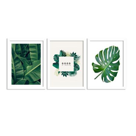 Imagem de Kit 3 Quadros Decorativos Folhas Verde Natureza Vibes