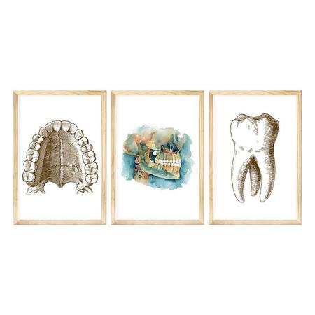 Imagem de Kit 3 Quadros Decorativos para Sala Consultório Dentista