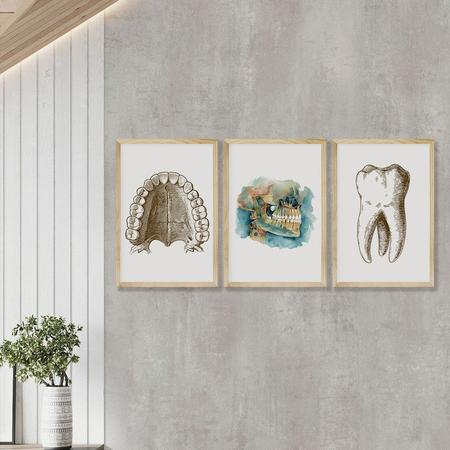 Imagem de Kit 3 Quadros Decorativos para Sala Consultório Dentista