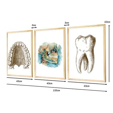 Imagem de Kit 3 Quadros Decorativos para Sala Consultório Dentista
