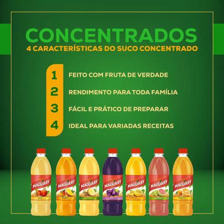 Imagem de Kit 3 Suco Concentrado De Caju Maguary 500ml