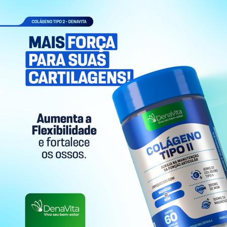 Imagem de Kit 3x Colágeno Tipo 2 Não Desnaturado Magnésio E MSM 3x1 - 180 Cápsulas - Denavita